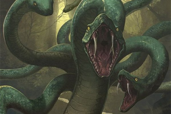 Kraken 5at