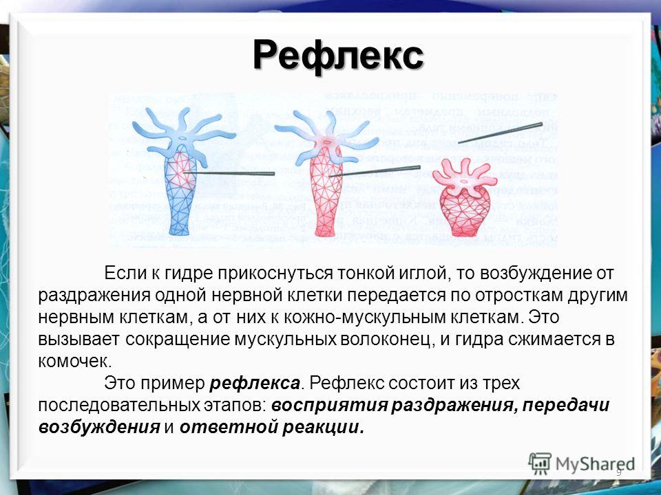 Кракен kr2web in маркетплейс ссылка